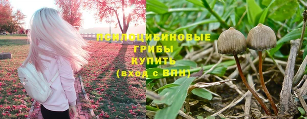 круглые Аркадак