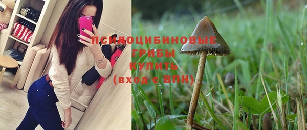 тгк Арсеньев
